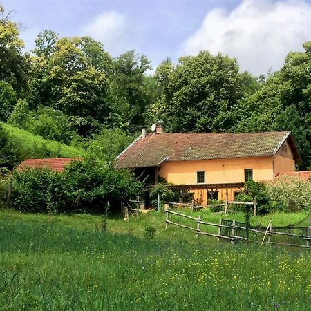 Le Mas De Planaise Saint-Jean-d'Avelanne Dış mekan fotoğraf