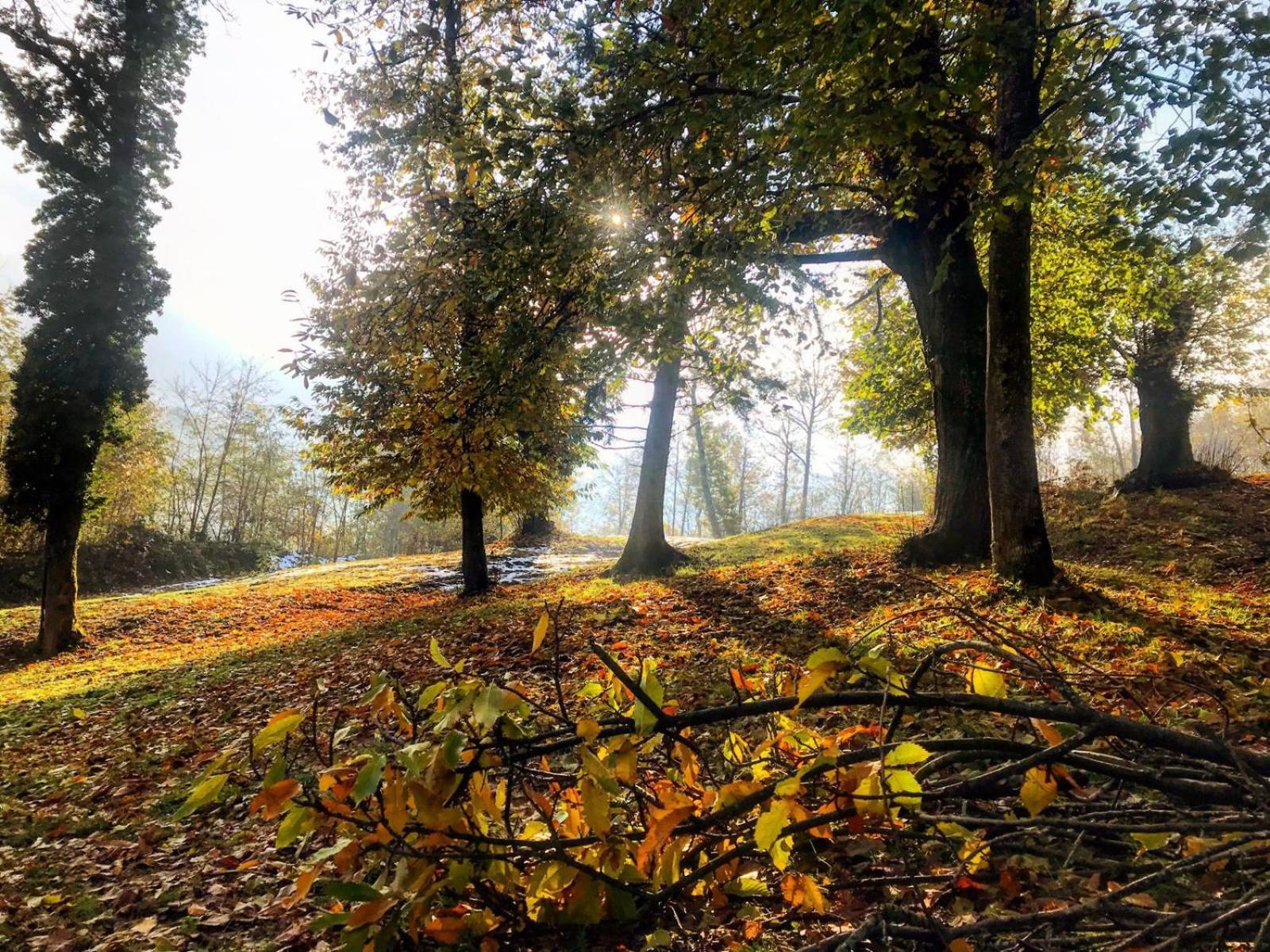 Le Mas De Planaise Saint-Jean-d'Avelanne Dış mekan fotoğraf