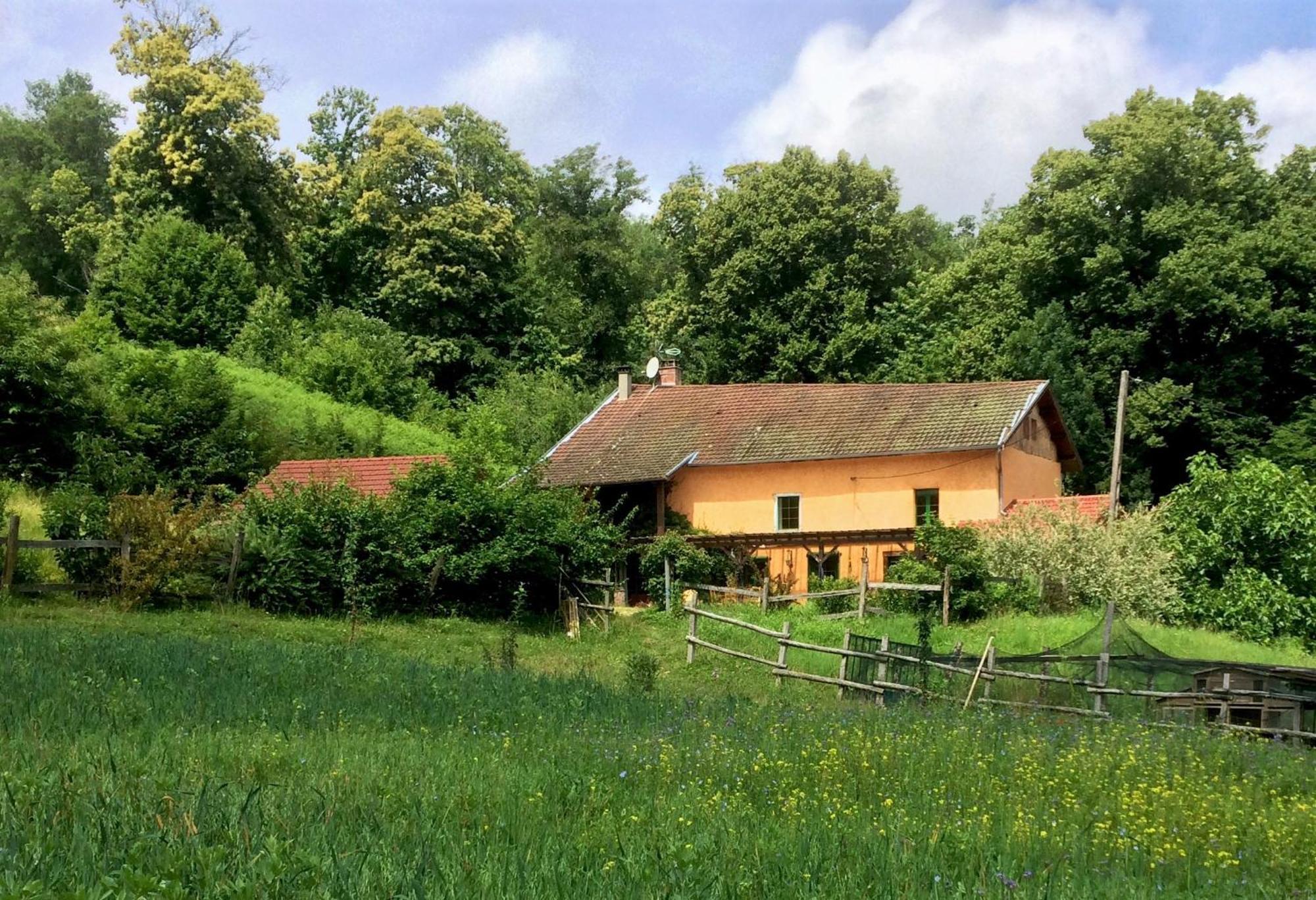 Le Mas De Planaise Saint-Jean-d'Avelanne Dış mekan fotoğraf
